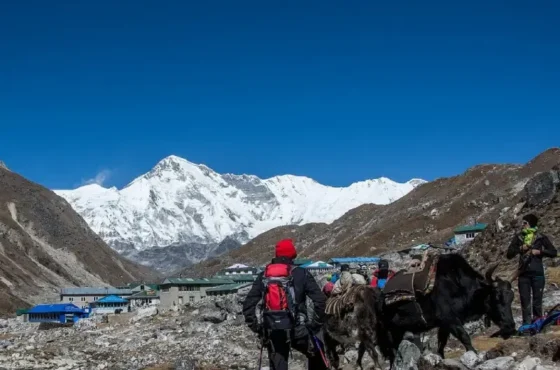 Nepal Panorama