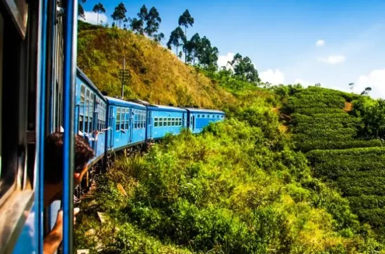 Wonderful Sri Lanka